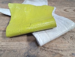 Peau de cuir de patte d'autruche - vert anis/blanc - bijou - bracelet de montre - maroquinerie - Cuir en Stock