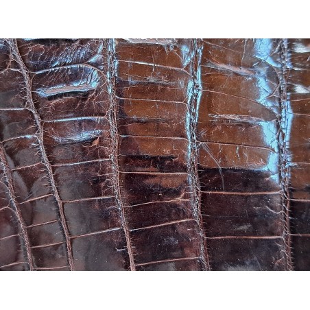 Cuir de crocodile - queue marron satiné