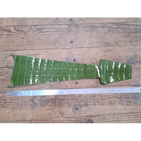 Cuir de crocodile - queue - Vert kaki - Cuir en Stock