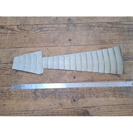Cuir de crocodile - queue - Vert kaki - Cuir en Stock