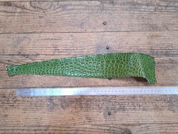 Peau de crocodile véritable - Vert kaki - Cuir en Stock