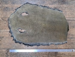 Peau de galuchat - perle centrale - cuir exotique - or antique - Cuirenstock