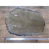 Peau de galuchat - perle centrale - cuir exotique - or antique - Cuirenstock