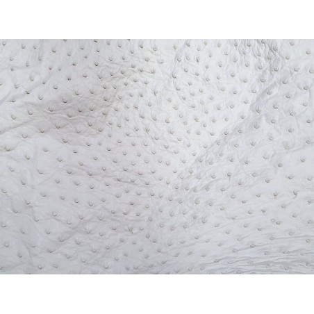 Peau de cuir d'autruche blanc poudré - picots luxe - Cuir en stock