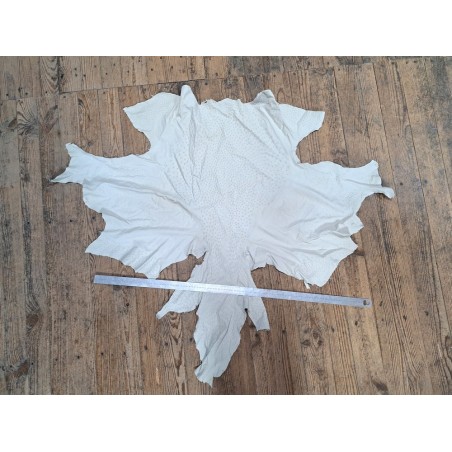 Peau de cuir d'autruche blanc poudré - picots luxe - Cuirenstock