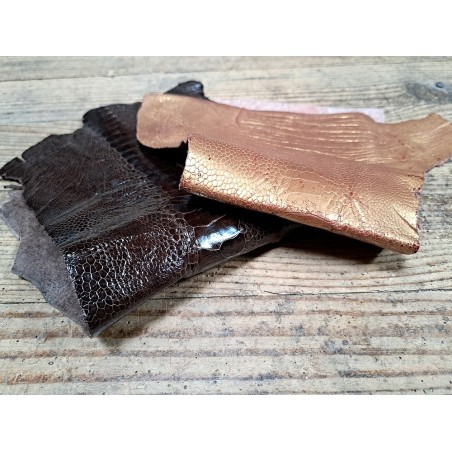 2 pattes d'autruche - A - Chocolat/Gold - Cuir en Stock