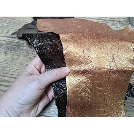 2 pattes d'autruche - A - Chocolat/Gold - Cuir en Stock