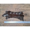 2 pattes d'autruche - A - Chocolat/Gold - Cuir en Stock