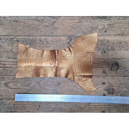 2 pattes d'autruche - A - Chocolat/Gold - Cuir en Stock