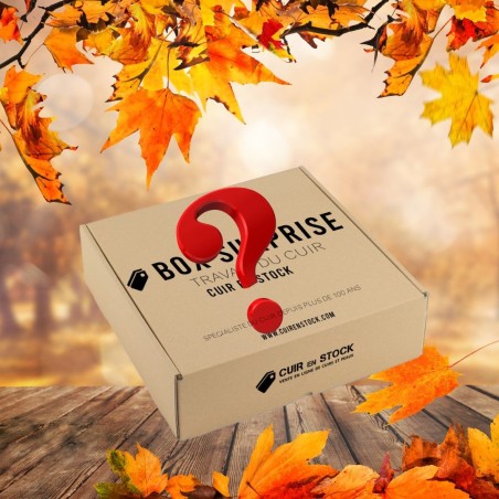 BOX SURPRISE 🍂 Automne 🍂  - Découverte du cuir - Cuir en Stock