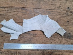 Morceau de crocodile véritable - Blanc mat - Cuirenstock