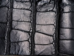 Morceau de cuir de crocodile - Noir mat - Cuir en Stock