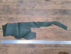 Morceau de peau de cuir de requin - Vert forêt - Cuir en Stock