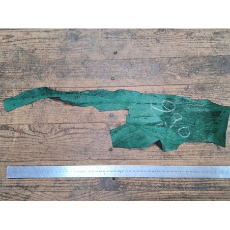 Morceau de peau de cuir de requin - Vert forêt - Cuir en Stock