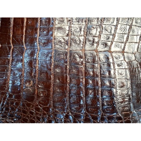 Cuir de crocodile véritable - Chocolat - Cuir en Stock