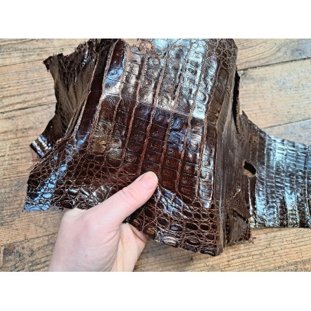Cuir de crocodile véritable - Chocolat - Cuir en Stock