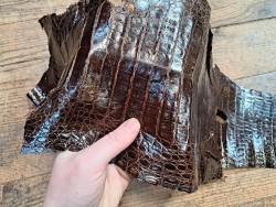 Cuir de crocodile véritable - Chocolat - Cuir en Stock