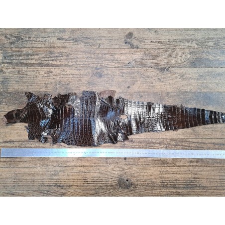 Cuir de crocodile véritable - Chocolat - Cuir en Stock