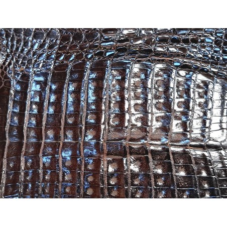 Peau entière de cuir de crocodile véritable - Café