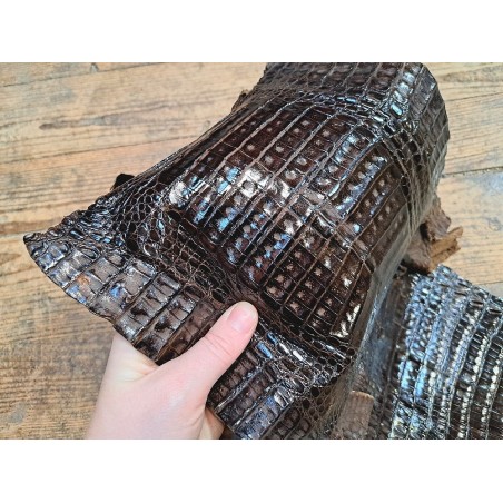 Peau entière de cuir de crocodile véritable - Café