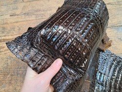 Peau entière de cuir de crocodile véritable - Café