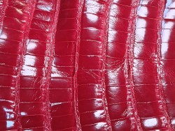 Cuir de crocodile véritable - rouge - maroquinerie bijoux - Cuir en Stock