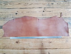 Bande de collet tannage végétal - Noisette - Cuir en Stock