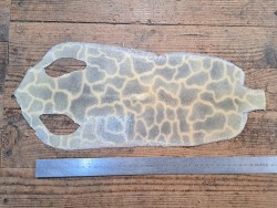 Peau de galuchat - perle centrale - cuir exotique - girafe beige/gris clair - Cuir en stock