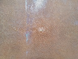 Peau de galuchat - perle centrale - cuir exotique - sable - Cuir en Stock