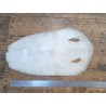 Peau de galuchat - perle centrale - cuir exotique - holographique argenté  - Cuirenstock