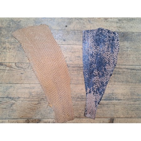 2 peaux uniques - Perche du Nil - B - Cuir en Stock