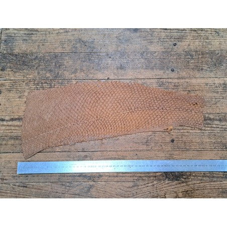 2 peaux uniques - Perche du Nil - B - Cuir en Stock