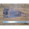2 peaux uniques - Perche du Nil - B - Cuir en Stock