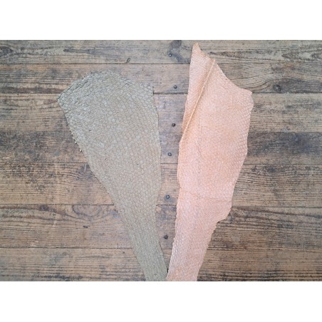 2 peaux uniques - Perche du Nil - D - Cuir en Stock