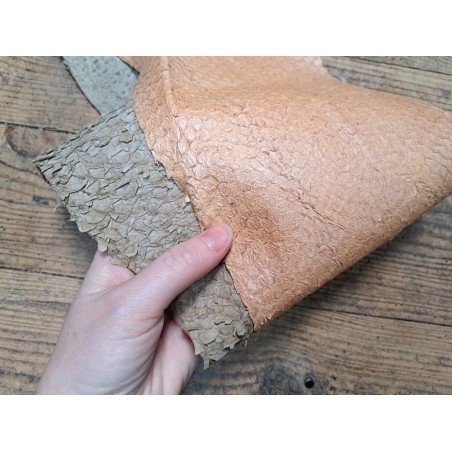 2 peaux uniques - Perche du Nil - D - Cuir en Stock