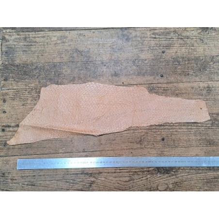 2 peaux uniques - Perche du Nil - D - Cuir en Stock