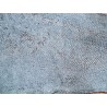 cuir cabillaud - poisson - maroquinerie - vert d'eau mat - cuirenstock