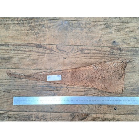 cuir cabillaud - poisson - maroquinerie - nuancé - brun clair mat - cuirenstock