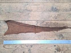 cuir cabillaud - poisson - maroquinerie - brun mat - cuirenstock