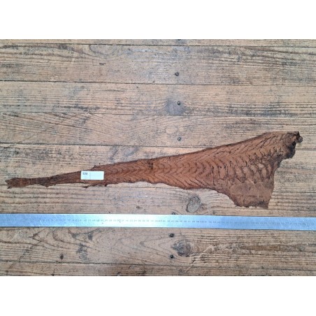 cuir cabillaud - poisson - maroquinerie - noisette- cuirenstock