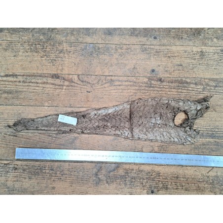 cuir cabillaud - poisson - maroquinerie - taupe - cuirenstock