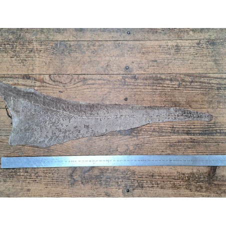 cuir cabillaud - poisson - maroquinerie - naturel mat - cuir en stock