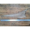 cuir cabillaud - poisson - maroquinerie - naturel mat - cuirenstock