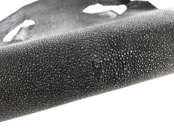 Peau de cuir de galuchat véritable - Noir pailleté - Cuir en Stock
