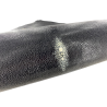 Grande peau de cuir de galuchat - Noir perle blanchie