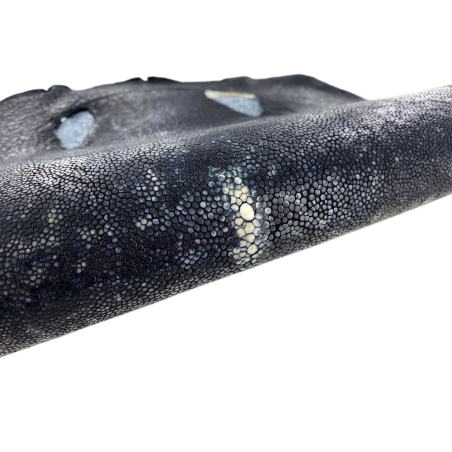 Peau de cuir de galuchat véritable - Noir moucheté - Cuir en Stock