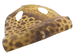 Peau de galuchat - perle centrale - cuir exotique - fleuri ocre - Cuir en Stock