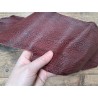 Morceaux de cuir de requin - Bordeaux - Cuirenstock