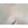 Collet de vache tannage végétal 2,1 mm – cuir naturel 2ᵉ choix