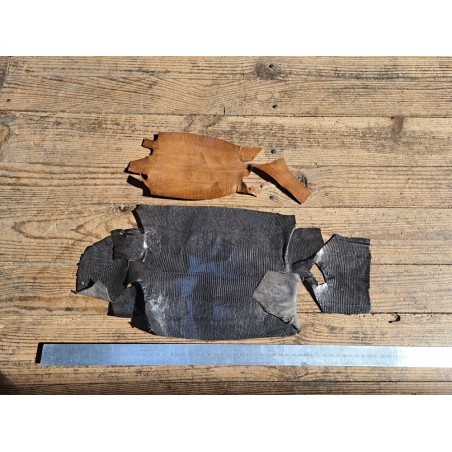 Lot de 2 peaux de cuir de lézard - D - Cuirenstock